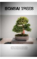 Bonsai Trees: Notebook with hobby for you, notebook ideal for study, school, work and home (Colorful & Beautiful Cover, Grid 110 Pages, 6x9) (Hobby Notebook)