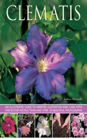 Clematis: An Illustrated Guide to Varieties, Cultivation and Care