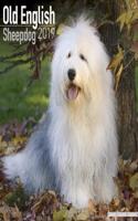 Old English Sheepdog Calendar 2019