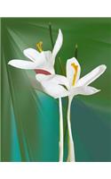 Lily Notebook: 8.5 X 11 202 College Ruled Pages