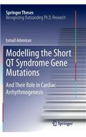 Modelling the Short Qt Syndrome Gene Mutations