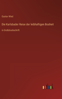 Karlsbader Reise der leibhaftigen Bosheit: in Großdruckschrift