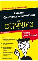 Lineare Gleichungssysteme lösen für Dummies