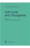 Cell Cycle and Oncogenes