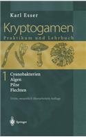 Kryptogamen 1