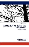 Soil Moisture Modelling and Assimilation