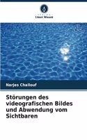 Störungen des videografischen Bildes und Abwendung vom Sichtbaren