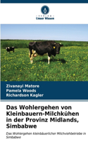 Wohlergehen von Kleinbauern-Milchkühen in der Provinz Midlands, Simbabwe