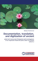 Documentation, translation, and digitization of ancient