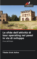 sfide dell'attività di tour operating nei paesi in via di sviluppo