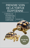 Prendre Soin de la Tortue Égyptienne