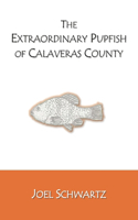 Extraordinary Pupfish of Calaveras County