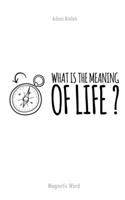 What is the meaning of life ?