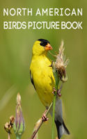 North American Birds Picture Book