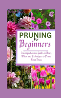 Pruning for Beginners