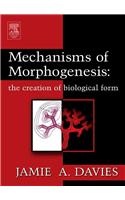 Mechanisms of Morphogenesis