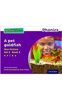 Read Write Inc. Phonics: A Pet Goldfish (Purple Set 2 Non-fiction 3)