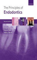 The Principles of Endodontics