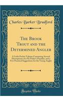The Brook Trout and the Determined Angler: A Little Pocket Volume Containing Several Descriptions of a Fly Fisher's Paradise, and a Few Practical Suggestions for the Young Angler (Classic Reprint)