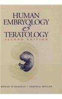 Human Embryology and Teratology
