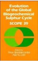 Evolution of the Global Biogeochemical Sulphur Cycle