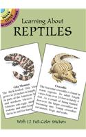 Learning about Reptiles: (Dover Little Activity Books)