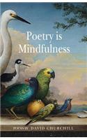 Poetry is Mindfulness