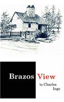 Brazos View