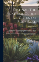 Cistinae. The Natural Order of Cistus, or Rock-rose; Illustrated by Coloured Figures & Descriptions of all the Distinct Species, and the Most Prominent Varieties, That Could be at Present Procured in the Gardens of Great Britain; With the Best Dire