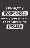 Sarcastic Sayings Unsupervised Notebook Journal