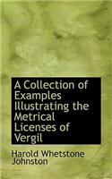 A Collection of Examples Illustrating the Metrical Licenses of Vergil