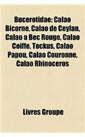 Bucerotidae: Calao Bicorne, Calao de Ceylan, Calao a Bec Rouge, Calao Coiffe, Tockus, Calao Papou, Calao Couronne, Calao Rhinoceros