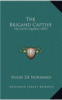 Brigand Captive