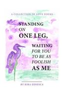 Standing On One Leg Waiting for You to Be as Foolish as Me