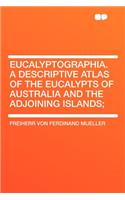 Eucalyptographia. a Descriptive Atlas of the Eucalypts of Australia and the Adjoining Islands;: (English)