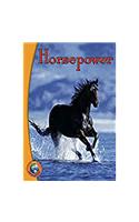 Rigby Infoquest: Leveled Reader Bookroom Package Nonfiction (Levels N-P) Horsepower: Leveled Reader Bookroom Package Nonfiction (Levels N-P) Horsepower