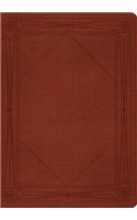 ESV Study Bible: English Standard Version Tan Trutone Window Design