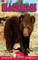 Black Bears: (World Languages)