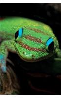 Gecko Notebook & Journal. Productivity Work Planner & Idea Notepad