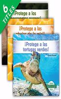 Pequeños Activistas: Especies En Peligro (Little Activists: Endangered Species) (Set)