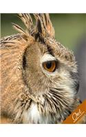 Owl Notebook Collection: (Owl Notebook, Journal, Diary) (Notebook Gifts) Collect Them All