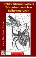 Doktor Kleinermachers Erlebnisse zwischen Keller und Dach