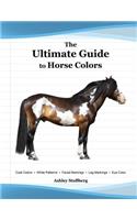 The Ultimate Guide to Horse Colors