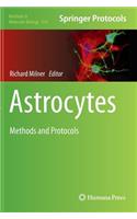 Astrocytes