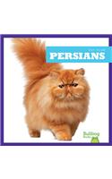 Persians