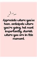 Appreciate where you've been, anticipate where you're going, but most importantly, cherish where you are in this moment. Dot Grid Bullet Journal