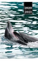 Dolphin Beluga Whale Porpoise Dolphinfish Week Planner Weekly Organizer Calendar 2020 / 2021 - Dance in Water