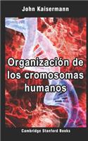 Organización de los cromosomas humanos: (2 Genética Médica 1)