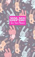 2020-2021 Two Year Planner: Daily Weekly Monthly 2020-2021 Planner Organizer, Agenda, Schedule and To Do List Journal - Art Cover 00023187