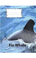 Fin Whales Wide Ruled Line paper Composition Book: Whale fans, elementary notebook, school suppies, elderly notebooks, visual impaired